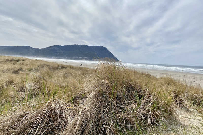 View of Tillamook Head from Seaside, Oregon beach on a cloudy day