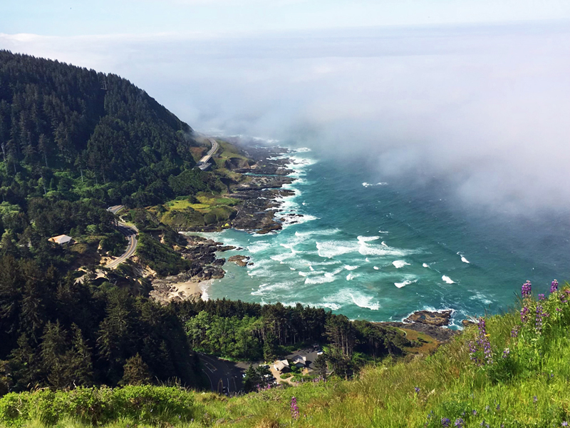 Cape Perpetua Scenic Overlook