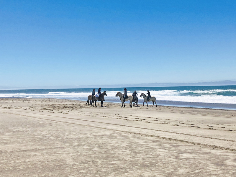 Horseback riding on the beach in Pacific City, Oregon