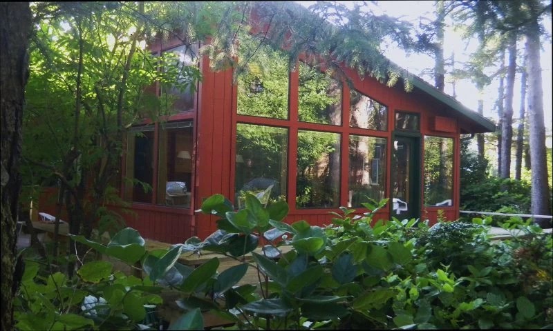 Prow front cedar beach house lined with windows tucked into a beautiful green, wooded area.