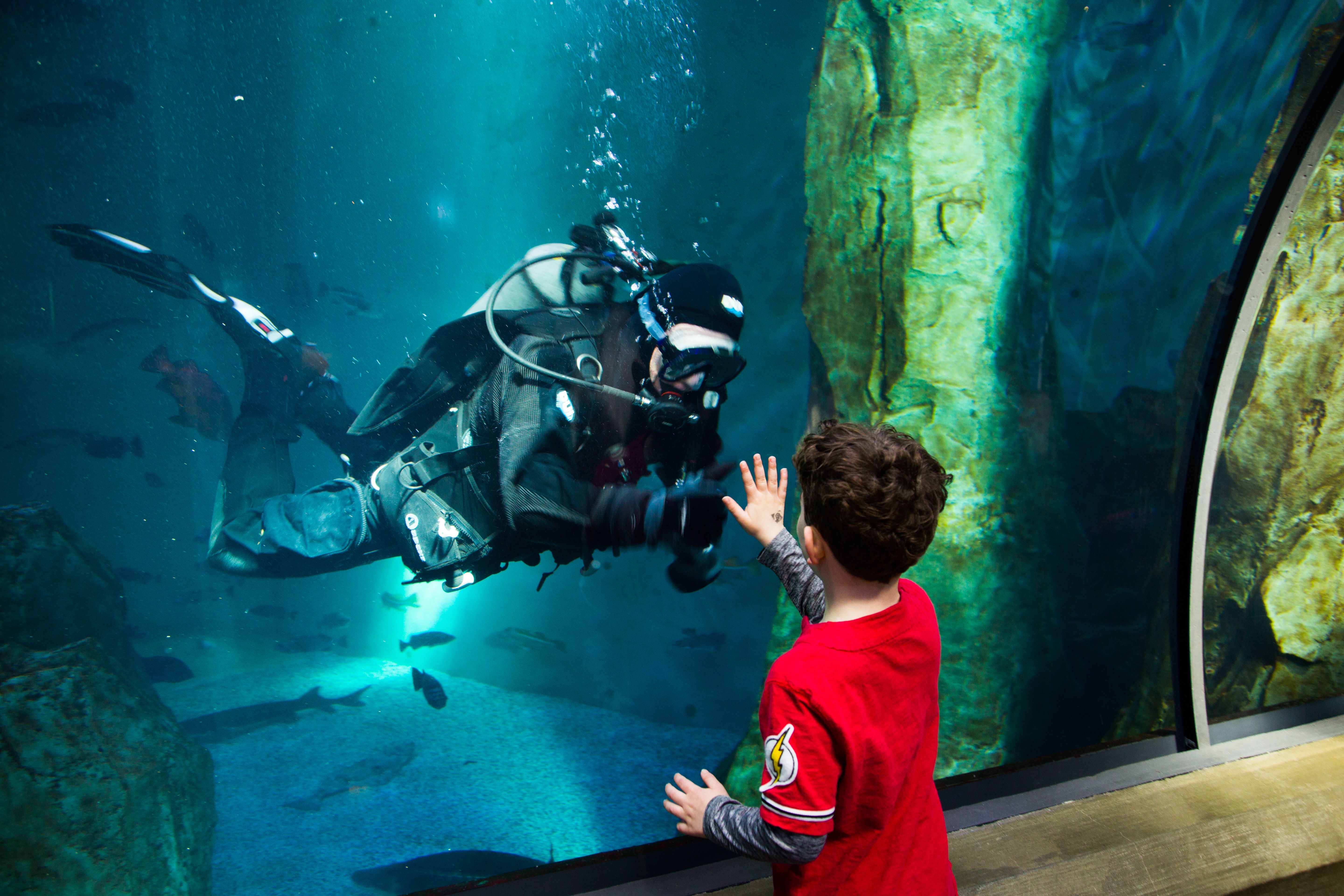 Photo Credit - Oregon Coast Aquarium