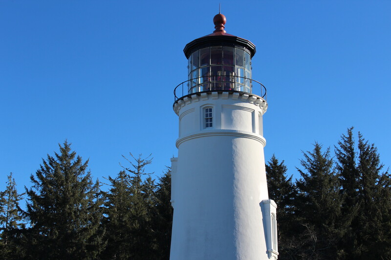 Close up of lighthouse tower against fir trees and a blue sky background.