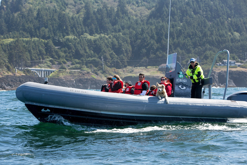 Depoe Bay Whale Watching charter boat with cute dog