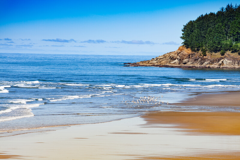 Blue sky, sand, and waves at Gold Beach, OR.
