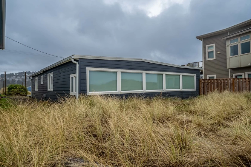 Sea Lion Crossing — photo 4