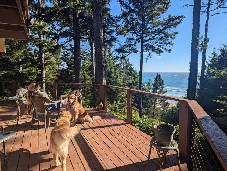 The Cedar House — photo 1
