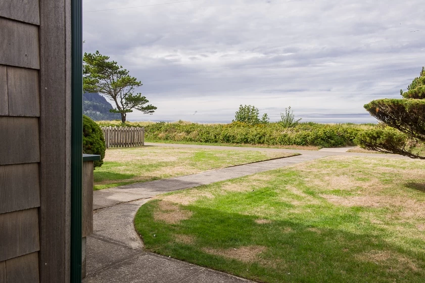 The Tides — photo 2