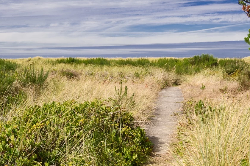 The Tides — photo 3