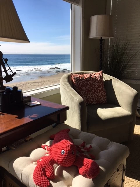 Tide Pools Property — photo 5
