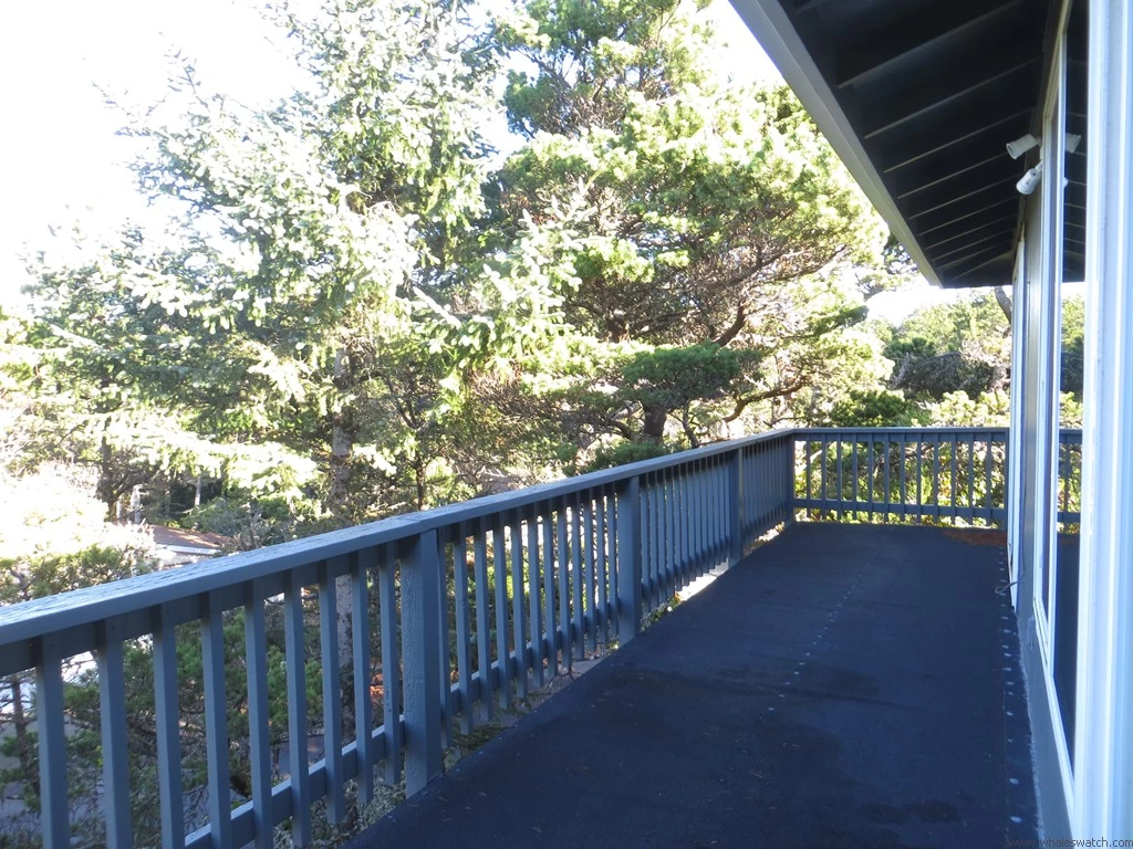 Osprey Pines — photo 4