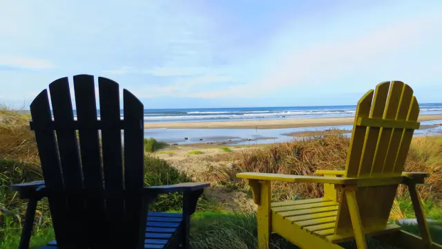 Whales Watch — photo 1