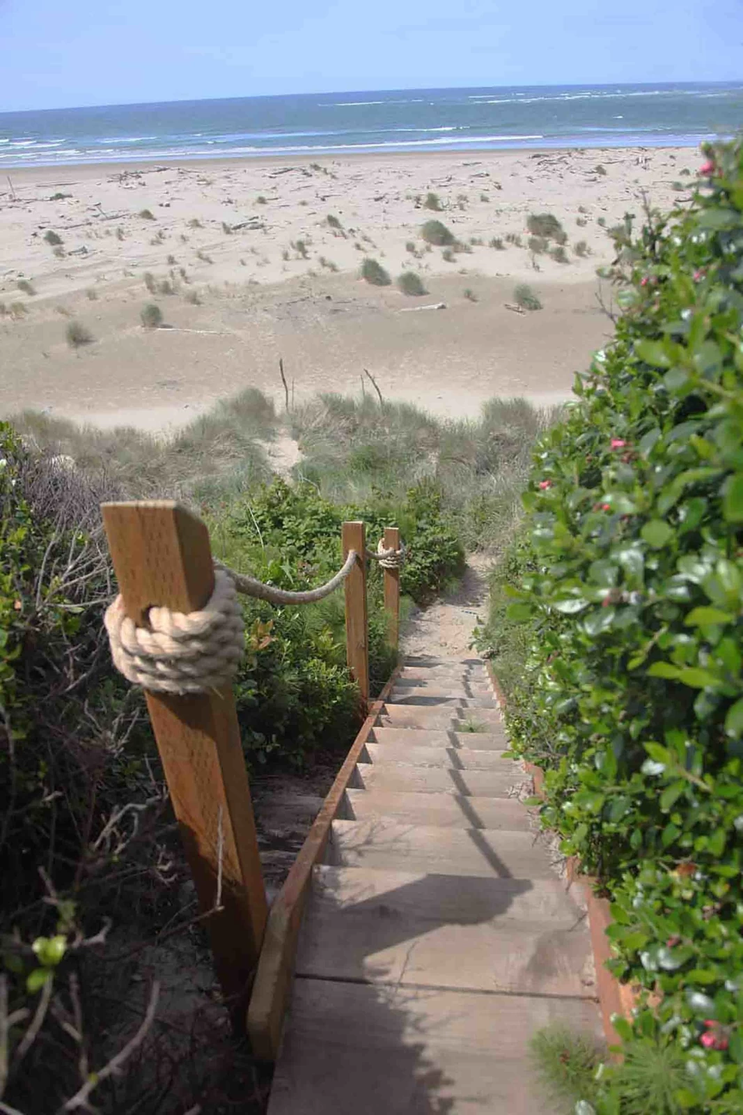 Corona del Pacifico — photo 2