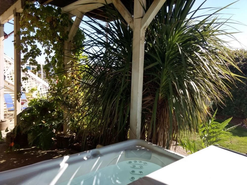 Beach Bum Inn — photo 3