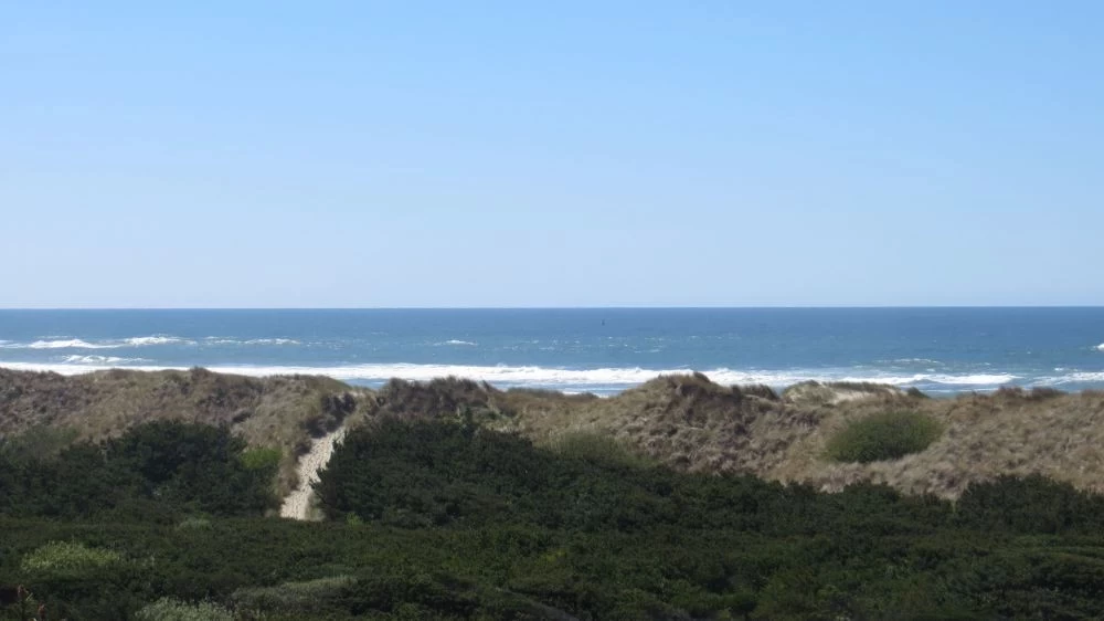 Deja View on Heceta Beach — photo 1