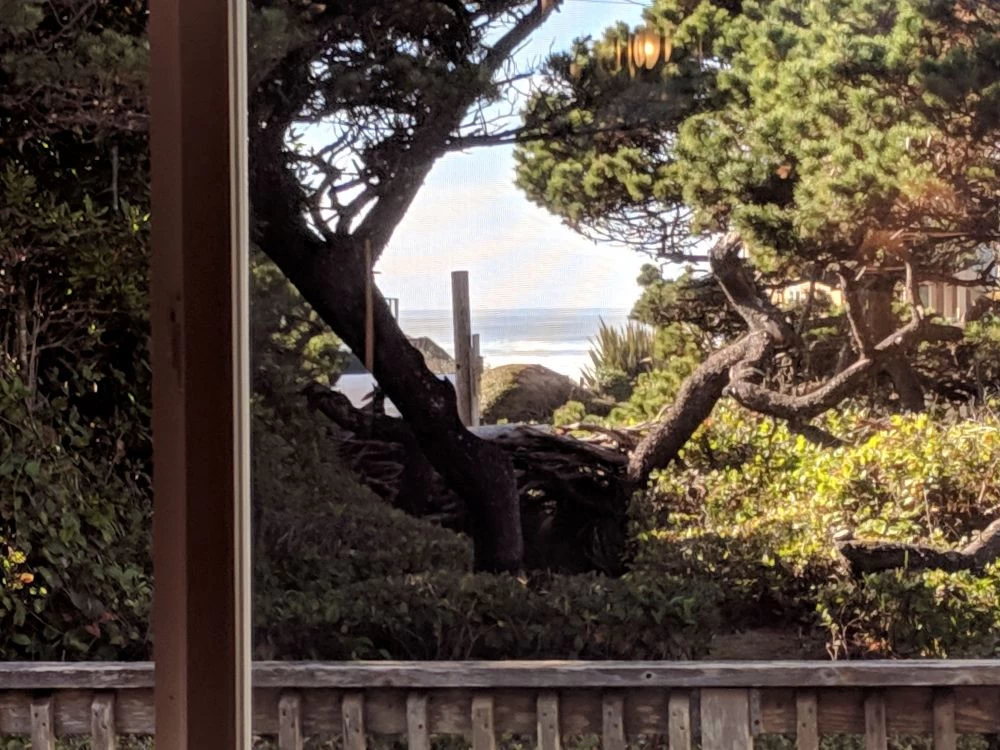 Heceta Haven — photo 3