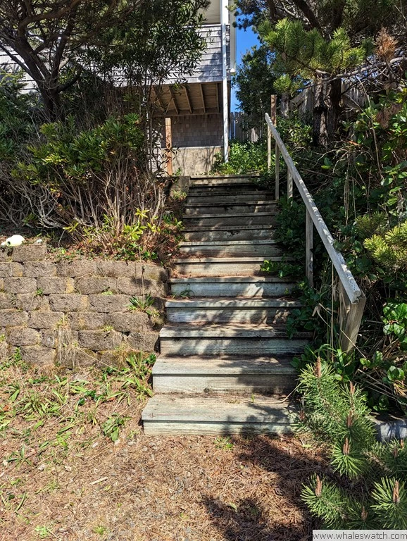 Lighthouse Lookout — photo 3