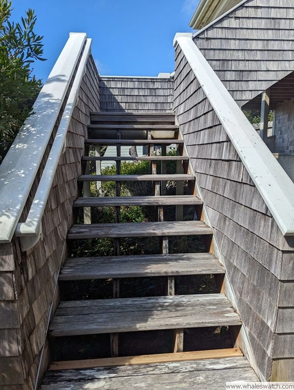 Lighthouse Lookout — photo 4