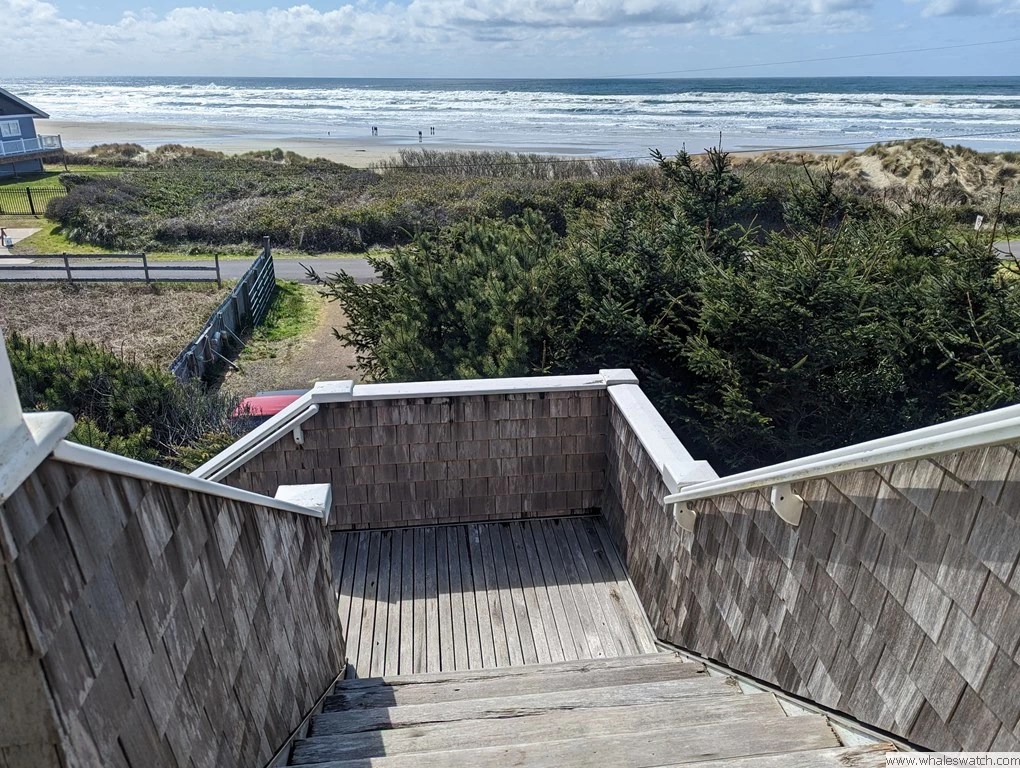 Lighthouse Lookout — photo 5