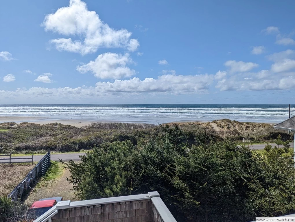 Lighthouse Lookout — photo 1