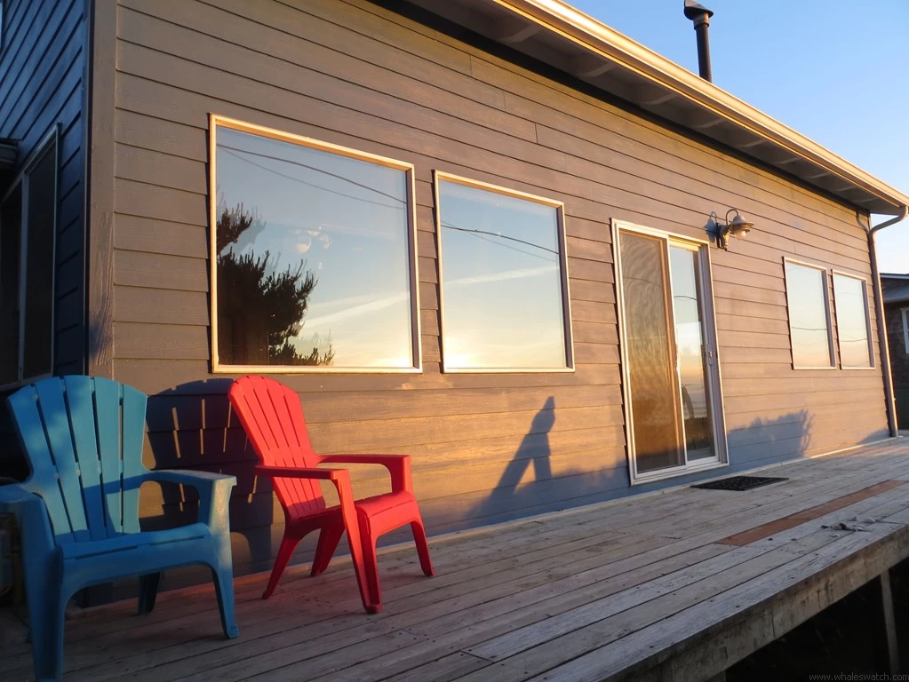 Sand Dollar Shores — photo 4