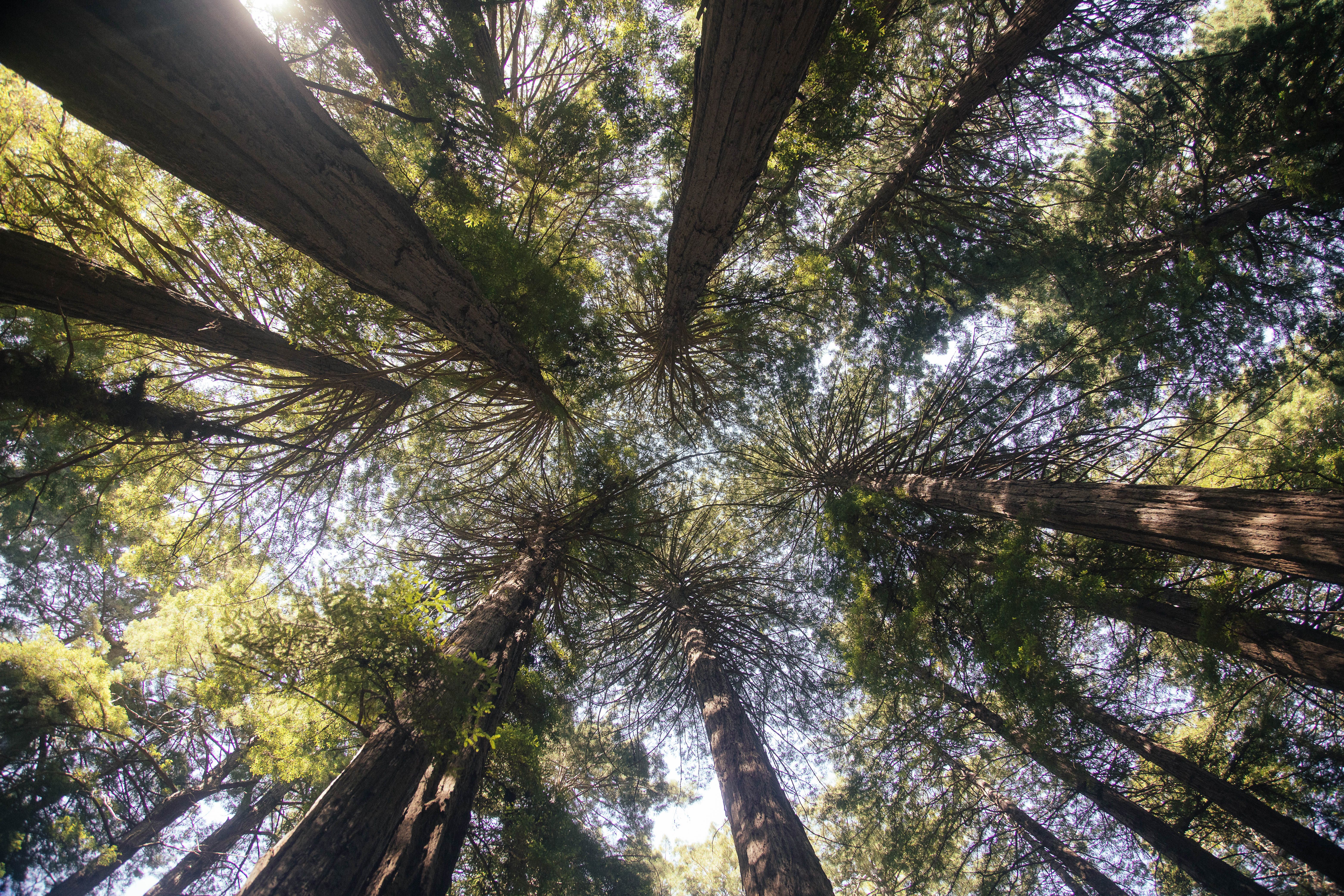 Things to Do in Hiouchi, California